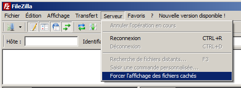 Allez dans le menu, au 5ème élément de la liste : Serveur cochez ”Forcer l'affichage des fichiers cachés” !